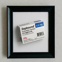 Original Zepbound Framed Oil Painting On Canvas