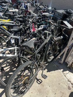 Full size beach cruiser sale. Over 30 of them $25.00 each. Your pick.