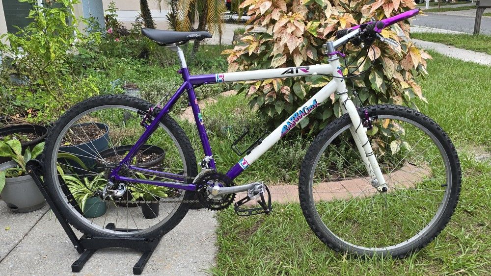 Vintage Barracuda Mountain Bike