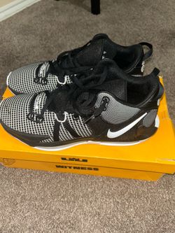 Lebron Witness VII