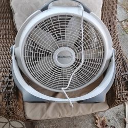 Fan