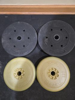 10lb And 15lb Vinyl Standard 1inch Weight Plates--