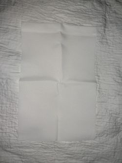 Print any pictures to Flag 11 each 