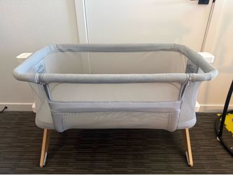 Newton bassinet