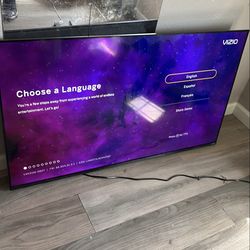 50” Vizio Smart TV – Works Perfect, Remote Included (OBO)