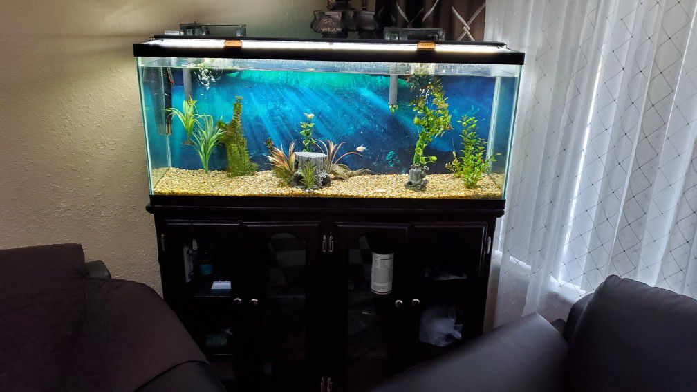 Aquarium 75 gallon with LED light and cabinet