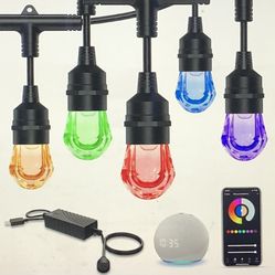 Smart RGBW String Lights LED 123ft