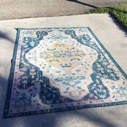 Outdoor Indoor Area Rug