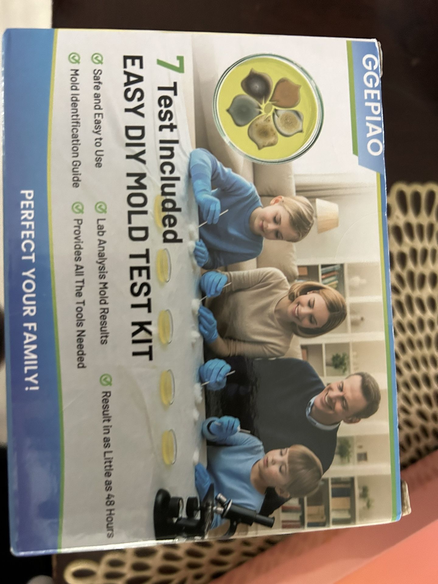 Mold Test Kit Easy DIY