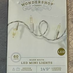 Wondershop 60 Warm White LED Mini Lights New