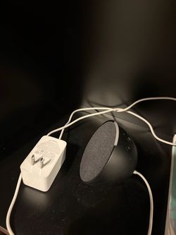 Alexa Echo