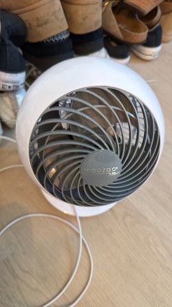Fan
