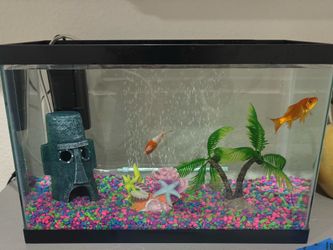 Aquarium