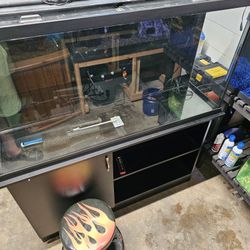 60 Gallon Fish Tank & Stand