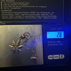 10k Gold Chain With Weed Leaf Pendant 