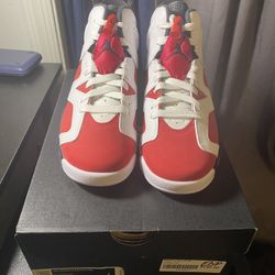 Retro Jordan 6’s