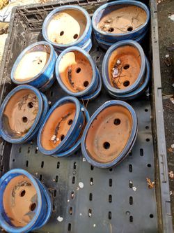 Bonsai Pots - Small