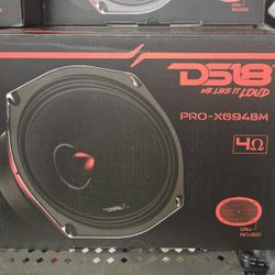 Ds18 6x9 Speaker 4ohm