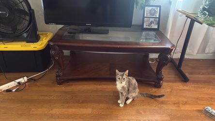 Coffee table