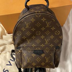 Louis Vuitton Palm Springs PM Backpack 