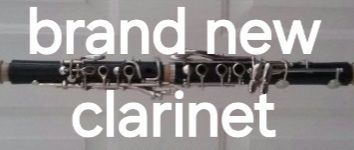 Brand new clarinet, has never been played