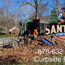 Stump Grinding 