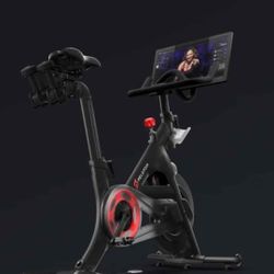 Pelton Bik