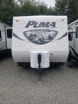 2014 Palomino Puma