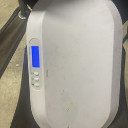 Baby Weight Scale