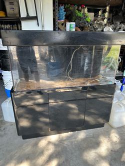 55 gallon aquarium