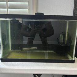 10 Gallon hospital aquarium 