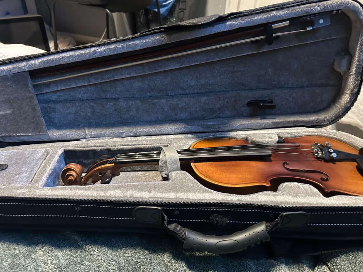Violin Estar