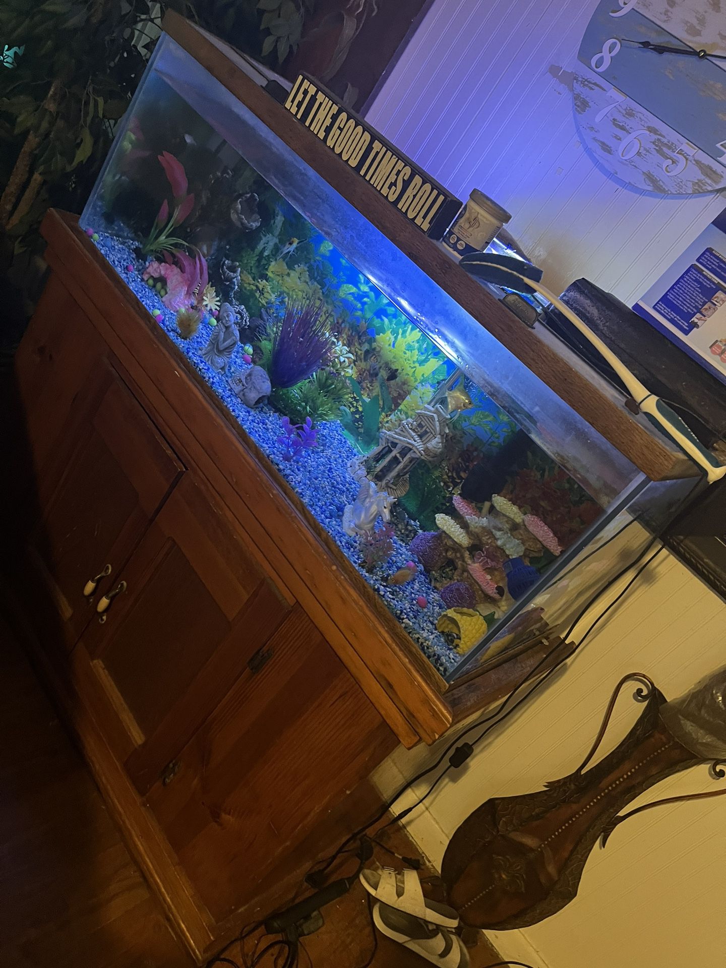 50 Gallon Fish Aquarium 