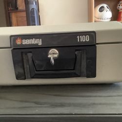 Fire Proof Sentry Safe