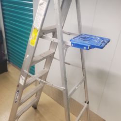6Ft Ladder