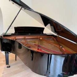 Grand Piano