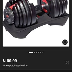 Dumbbells And Barbell