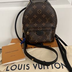 Louis Vuitton, Bags, Louis Vuitton Authentic Mini Palm Springs Backpack