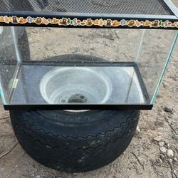 A Small Terrarium 16 Inches Long By 9 Inches Wide And 10 Inches