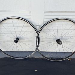 Campagnolo Proton 700c Clincher Road Bike Wheelset 9/10/11/12 Speed  