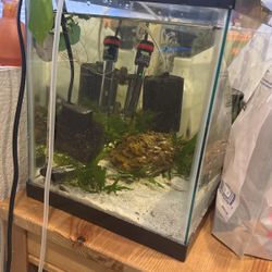 Fish Tank