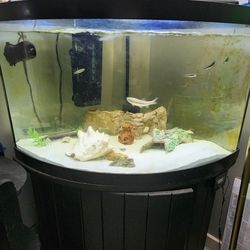 55 Gallon Corner Tank