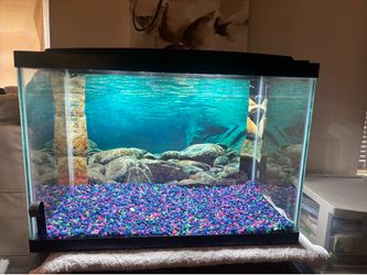 20 Gal Fishtank
