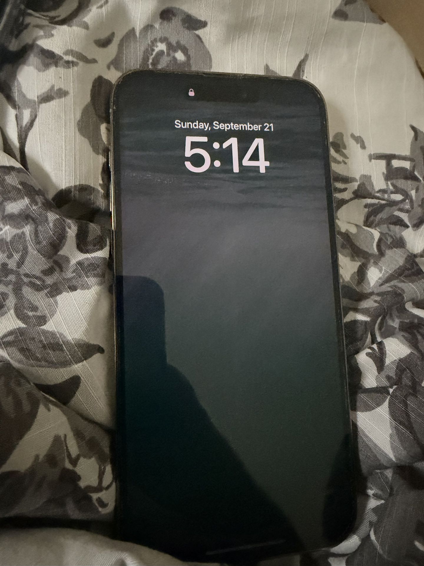 iPhone 14 Pro Max 128 gb Unlocked