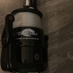 Fishing poles with one real