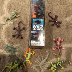 8 Wild Animals & 9 Different Lizards