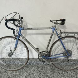 Bridgestone Kabuki Vintage Bike