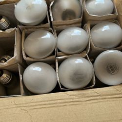 Light Bulbs 21pc. .