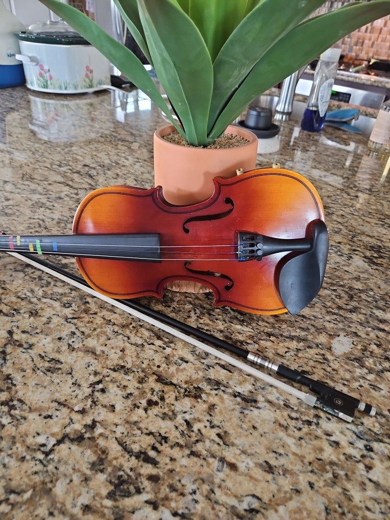 instruments violin