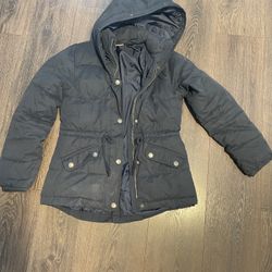 Hollister Women Jacket